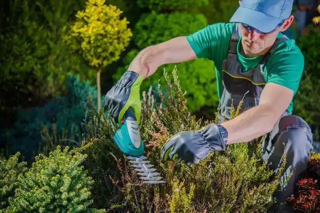 landscaping services Bourg